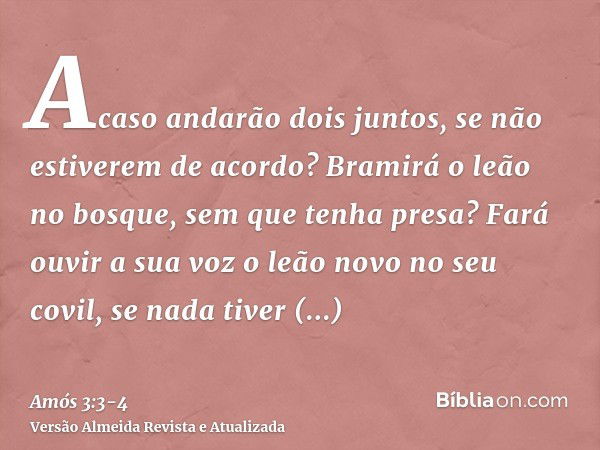 Acaso andarão dois juntos, se não estiverem de acordo?Bramirá o leão no bosque, sem que tenha presa? Fará ouvir a sua voz o leão novo no seu covil, se nada tive