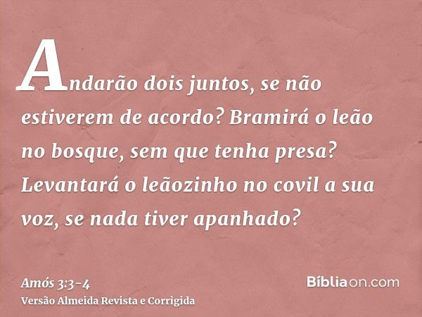 Andarão dois juntos, se não estiverem de acordo?Bramirá o leão no bosque, sem que tenha presa? Levantará o leãozinho no covil a sua voz, se nada tiver apanhado?