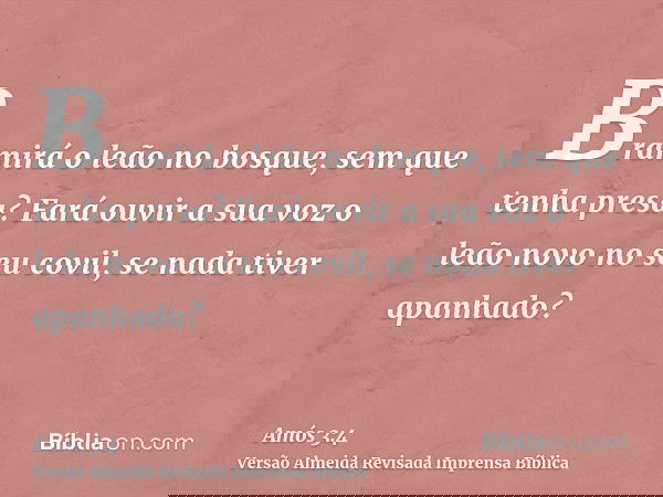 Bramirá o leão no bosque, sem que tenha presa? Fará ouvir a sua voz o leão novo no seu covil, se nada tiver apanhado?
