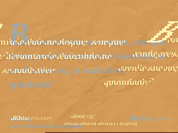 Bramirá o leão no bosque, sem que tenha presa? Levantará o leãozinho no covil a sua voz, se nada tiver apanhado?