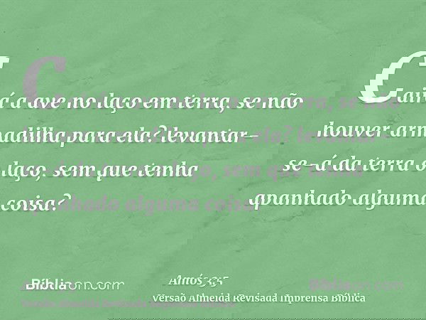 Cairá a ave no laço em terra, se não houver armadilha para ela? levantar-se-á da terra o laço, sem que tenha apanhado alguma coisa?