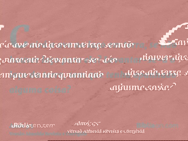 Cairá a ave no laço em terra, se não houver laço para ela? Levantar-se-á o laço da terra, sem que tenha apanhado alguma coisa?