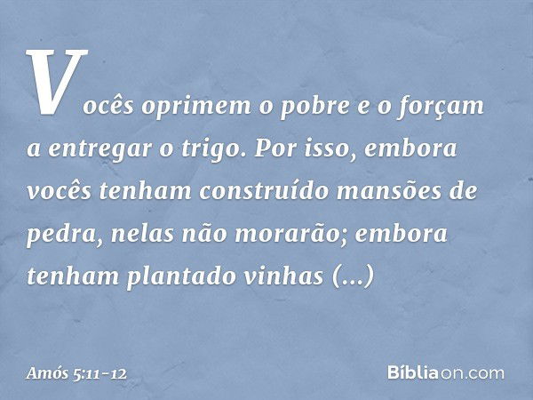 Vocês oprimem o pobre
e o forçam a entregar o trigo.
Por isso, embora vocês
tenham construído
mansões de pedra,
nelas não morarão;
embora tenham plantado
vinhas