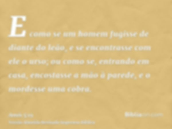 E como se um homem fugisse de diante do leão, e se encontrasse com ele o urso; ou como se, entrando em casa, encostasse a mão à parede, e o mordesse uma cobra.