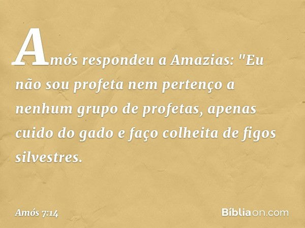 Amós respondeu a Amazias: "Eu não sou profeta nem pertenço a nenhum grupo de profetas, apenas cuido do gado e faço colheita de figos silvestres. -- Amós 7:14