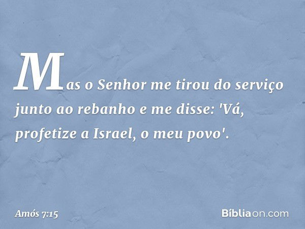 Mas o Senhor me tirou do serviço junto ao rebanho e me disse: 'Vá, profetize a Israel, o meu povo'. -- Amós 7:15