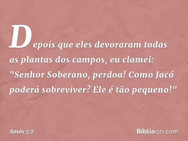 Depois que eles devoraram todas as plantas dos campos, eu clamei: "Senhor Soberano, perdoa! Como Jacó poderá sobreviver? Ele é tão pequeno!" -- Amós 7:2