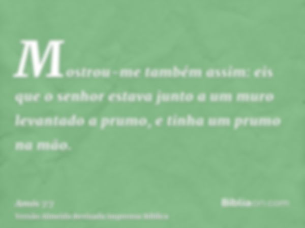 Mostrou-me também assim: eis que o senhor estava junto a um muro levantado a prumo, e tinha um prumo na mão.