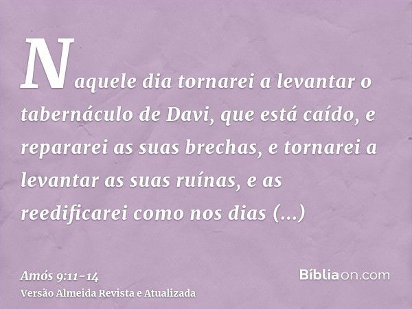 Naquele dia tornarei a levantar o tabernáculo de Davi, que está caído, e repararei as suas brechas, e tornarei a levantar as suas ruínas, e as reedificarei como