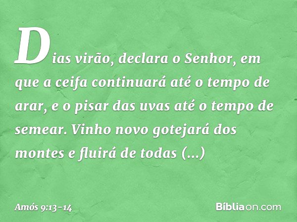 "Dias virão", declara o Senhor,
"em que a ceifa continuará
até o tempo de arar,
e o pisar das uvas
até o tempo de semear.
Vinho novo gotejará dos montes
e fluir