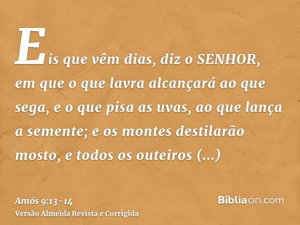 Eis que vêm dias, diz o SENHOR, em que o que lavra alcançará ao que sega, e o que pisa as uvas, ao que lança a semente; e os montes destilarão mosto, e todos os