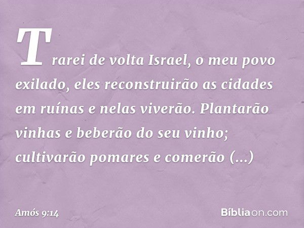 Trarei de volta Israel,
o meu povo exilado,
eles reconstruirão as cidades em ruínas
e nelas viverão.
Plantarão vinhas
e beberão do seu vinho;
cultivarão pomares