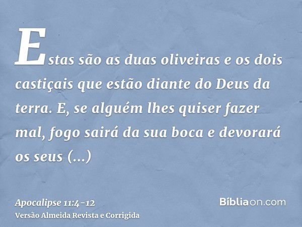 Estas são as duas oliveiras e os dois castiçais que estão diante do Deus da terra.E, se alguém lhes quiser fazer mal, fogo sairá da sua boca e devorará os seus 