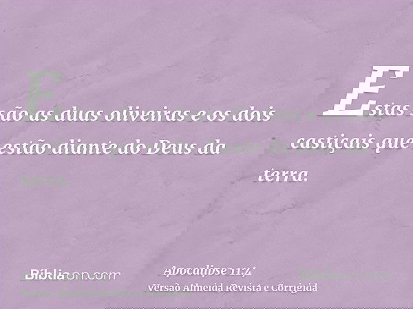 Estas são as duas oliveiras e os dois castiçais que estão diante do Deus da terra.
