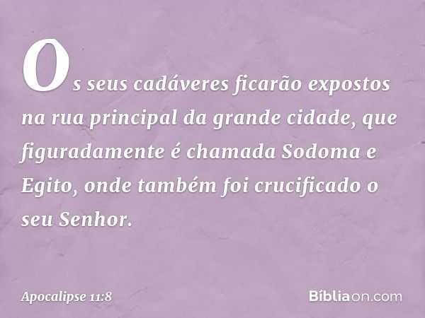 Os seus cadáveres ficarão expostos na rua principal da grande cidade, que figuradamente é chamada Sodoma e Egito, onde também foi crucificado o seu Senhor. -- A