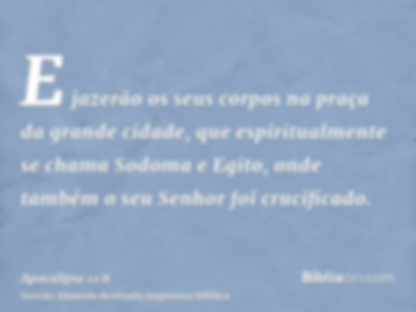 E jazerão os seus corpos na praça da grande cidade, que espiritualmente se chama Sodoma e Egito, onde também o seu Senhor foi crucificado.