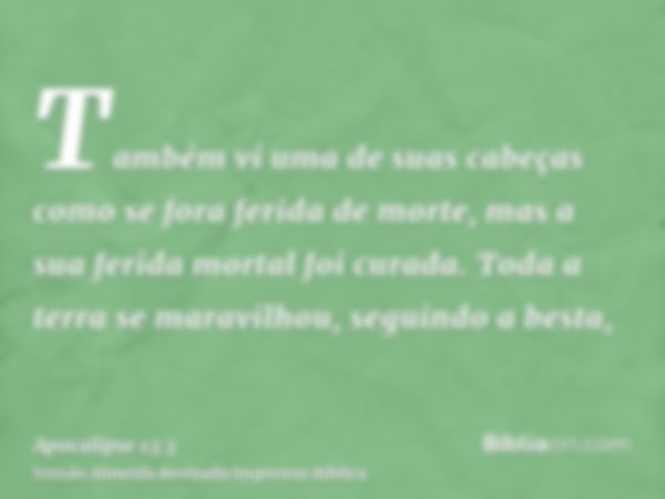 Também vi uma de suas cabeças como se fora ferida de morte, mas a sua ferida mortal foi curada. Toda a terra se maravilhou, seguindo a besta,