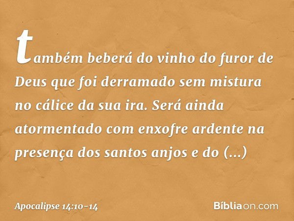 também beberá do vinho do furor de Deus que foi derramado sem mistura no cálice da sua ira. Será ainda atormentado com enxofre ardente na presença dos santos an