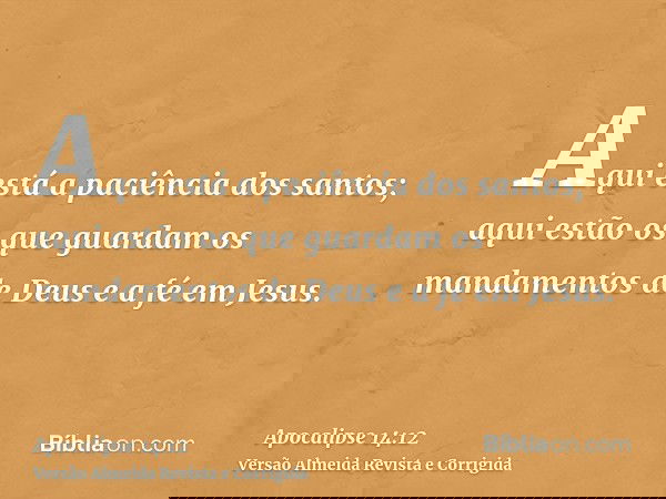 Aqui está a paciência dos santos; aqui estão os que guardam os mandamentos de Deus e a fé em Jesus.