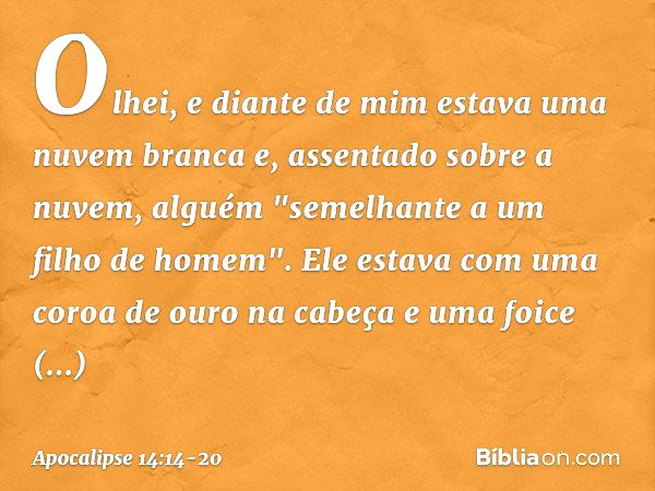 Olhei, e diante de mim estava uma nuvem branca e, assentado sobre a nuvem, alguém "semelhante a um filho de homem". Ele estava com uma coroa de ouro na cabeça e