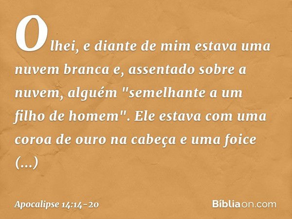 Olhei, e diante de mim estava uma nuvem branca e, assentado sobre a nuvem, alguém "semelhante a um filho de homem". Ele estava com uma coroa de ouro na cabeça e