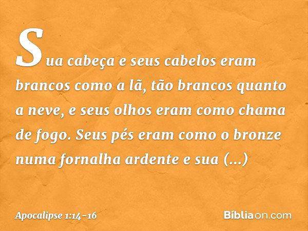 Sua cabeça e seus cabelos eram brancos como a lã, tão brancos quanto a neve, e seus olhos eram como chama de fogo. Seus pés eram como o bronze numa fornalha ard