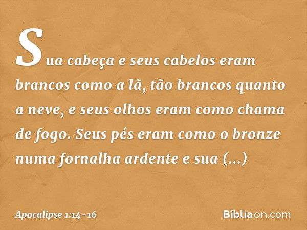 Sua cabeça e seus cabelos eram brancos como a lã, tão brancos quanto a neve, e seus olhos eram como chama de fogo. Seus pés eram como o bronze numa fornalha ard