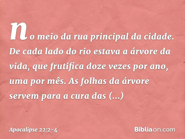 no meio da rua principal da cidade. De cada lado do rio estava a árvore da vida, que frutifica doze vezes por ano, uma por mês. As folhas da árvore servem para 