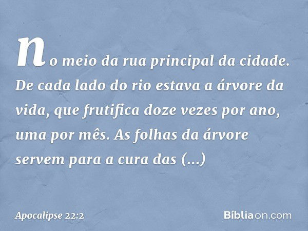 no meio da rua principal da cidade. De cada lado do rio estava a árvore da vida, que frutifica doze vezes por ano, uma por mês. As folhas da árvore servem para 