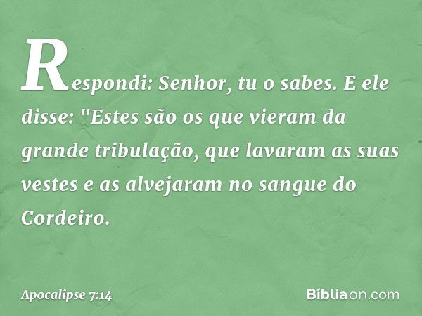 Respondi: Senhor, tu o sabes.
E ele disse: "Estes são os que vieram da grande tribulação, que lavaram as suas vestes e as alvejaram no sangue do Cordeiro. -- Ap