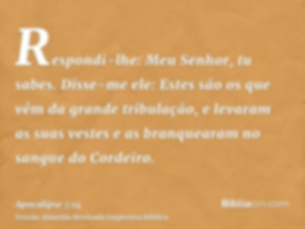 Respondi-lhe: Meu Senhor, tu sabes. Disse-me ele: Estes são os que vêm da grande tribulação, e levaram as suas vestes e as branquearam no sangue do Cordeiro.