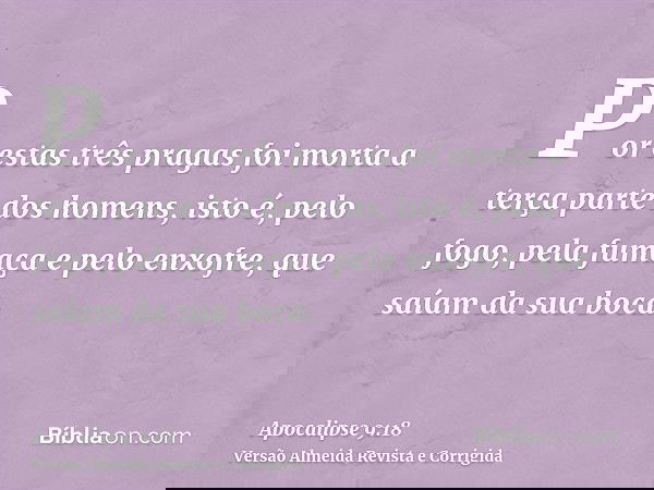 Por estas três pragas foi morta a terça parte dos homens, isto é, pelo fogo, pela fumaça e pelo enxofre, que saíam da sua boca.