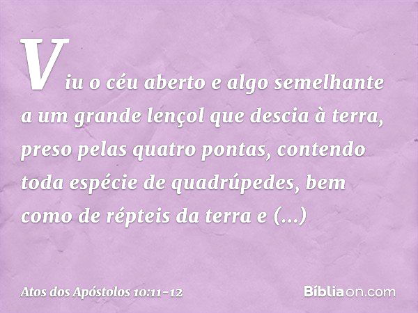 Viu o céu aberto e algo semelhante a um grande lençol que descia à terra, preso pelas quatro pontas, contendo toda espécie de quadrúpedes, bem como de répteis d