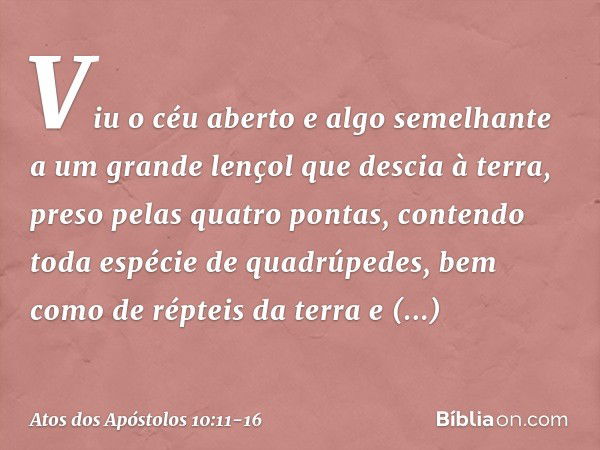 Viu o céu aberto e algo semelhante a um grande lençol que descia à terra, preso pelas quatro pontas, contendo toda espécie de quadrúpedes, bem como de répteis d