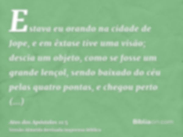 Estava eu orando na cidade de Jope, e em êxtase tive uma visão; descia um objeto, como se fosse um grande lençol, sendo baixado do céu pelas quatro pontas, e ch