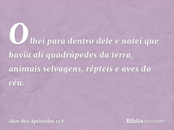 Olhei para dentro dele e notei que havia ali quadrúpedes da terra, animais selvagens, répteis e aves do céu. -- Atos dos Apóstolos 11:6