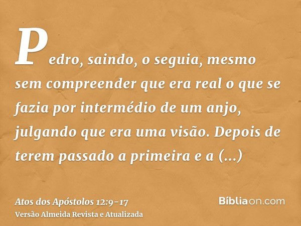 Pedro, saindo, o seguia, mesmo sem compreender que era real o que se fazia por intermédio de um anjo, julgando que era uma visão.Depois de terem passado a prime