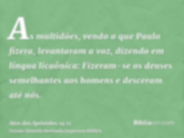 As multidões, vendo o que Paulo fizera, levantaram a voz, dizendo em língua licaônica: Fizeram-se os deuses semelhantes aos homens e desceram até nós.