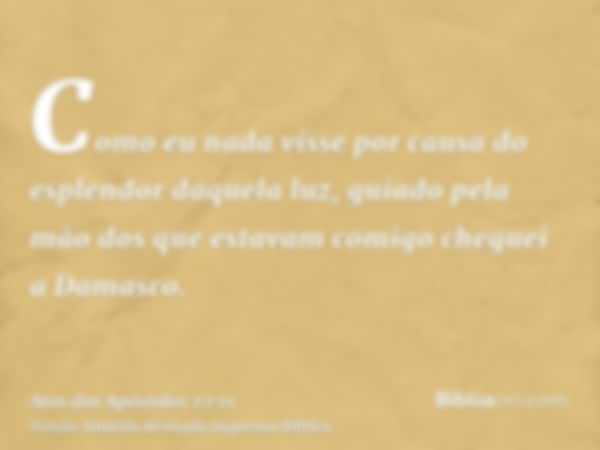 Como eu nada visse por causa do esplendor daquela luz, guiado pela mão dos que estavam comigo cheguei a Damasco.