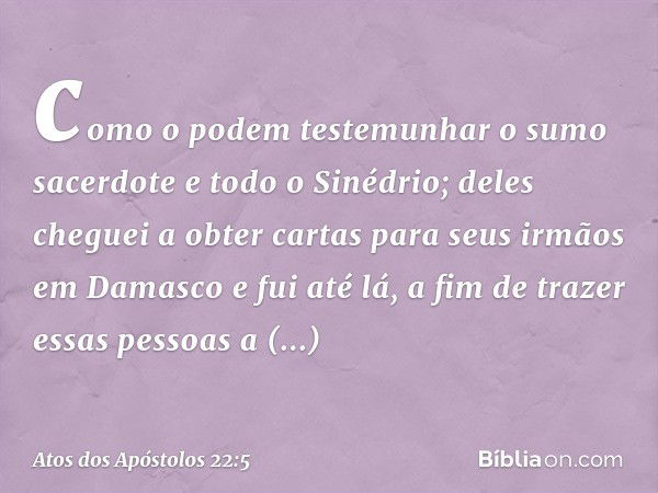 como o podem testemunhar o sumo sacerdote e todo o Sinédrio; deles cheguei a obter cartas para seus irmãos em Damasco e fui até lá, a fim de trazer essas pessoa