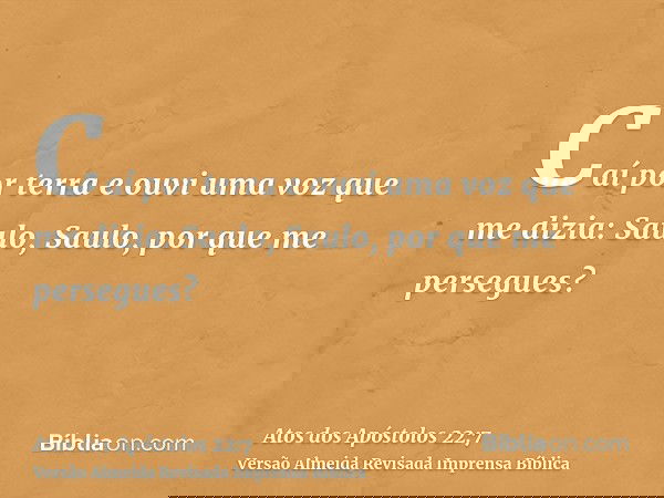 Caí por terra e ouvi uma voz que me dizia: Saulo, Saulo, por que me persegues?