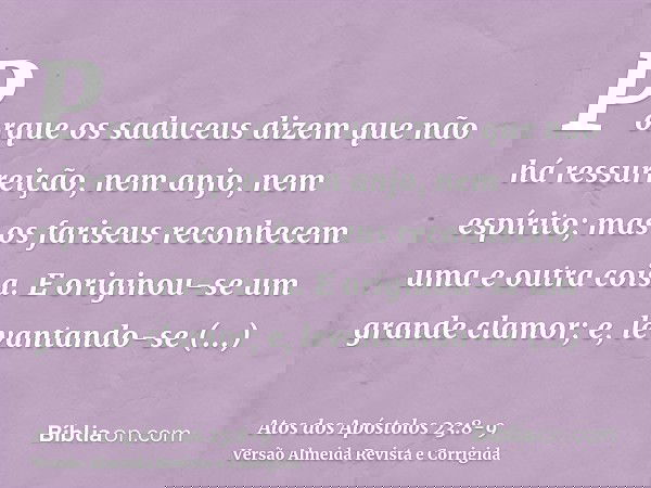 Porque os saduceus dizem que não há ressurreição, nem anjo, nem espírito; mas os fariseus reconhecem uma e outra coisa.E originou-se um grande clamor; e, levant