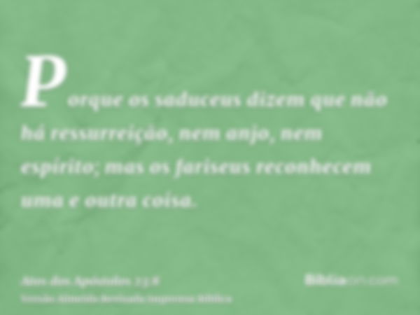 Porque os saduceus dizem que não há ressurreição, nem anjo, nem espírito; mas os fariseus reconhecem uma e outra coisa.