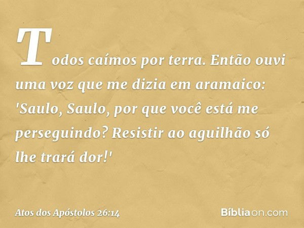 Todos caímos por terra. Então ouvi uma voz que me dizia em aramaico: 'Saulo, Saulo, por que você está me perseguindo? Resistir ao aguilhão só lhe trará dor!' --