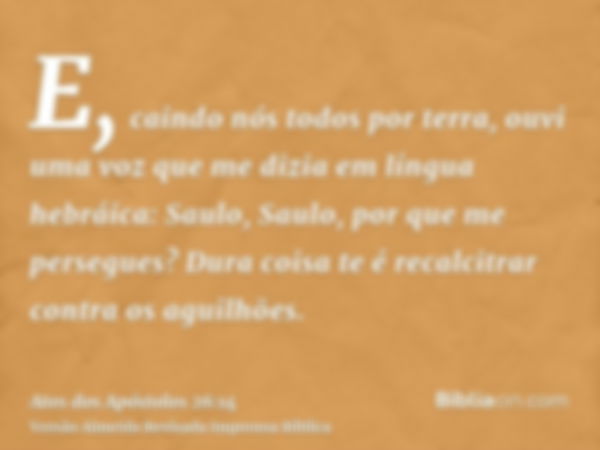 E, caindo nós todos por terra, ouvi uma voz que me dizia em língua hebráica: Saulo, Saulo, por que me persegues? Dura coisa te é recalcitrar contra os aguilhões