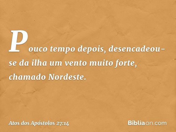 Pouco tempo depois, desencadeou-se da ilha um vento muito forte, chamado Nordeste. -- Atos dos Apóstolos 27:14