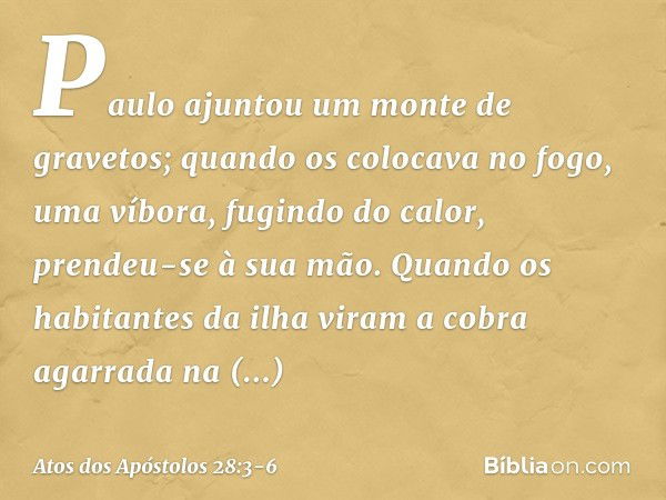 Paulo ajuntou um monte de gravetos; quando os colocava no fogo, uma víbora, fugindo do calor, prendeu-se à sua mão. Quando os habitantes da ilha viram a cobra a