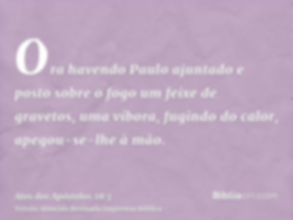 Ora havendo Paulo ajuntado e posto sobre o fogo um feixe de gravetos, uma víbora, fugindo do calor, apegou-se-lhe à mão.