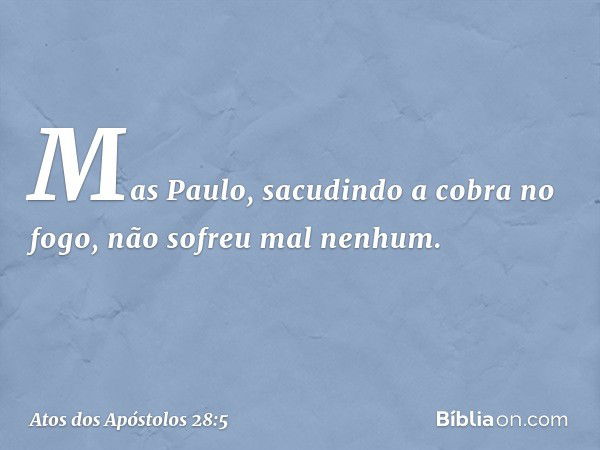 Mas Paulo, sacudindo a cobra no fogo, não sofreu mal nenhum. -- Atos dos Apóstolos 28:5