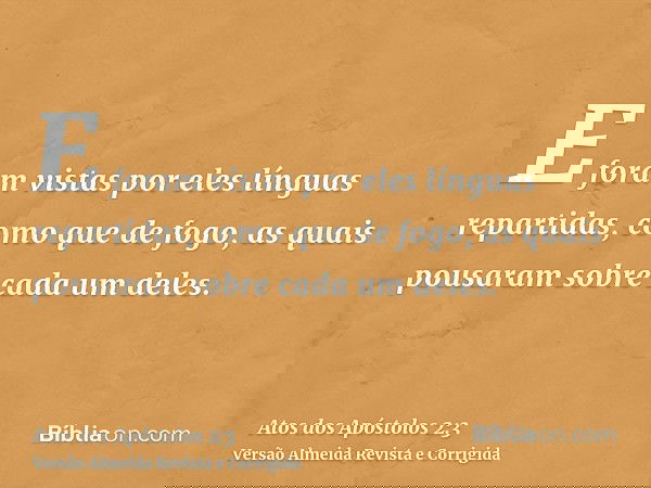 E foram vistas por eles línguas repartidas, como que de fogo, as quais pousaram sobre cada um deles.